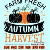 Farm fresh autumn harvest SVG
