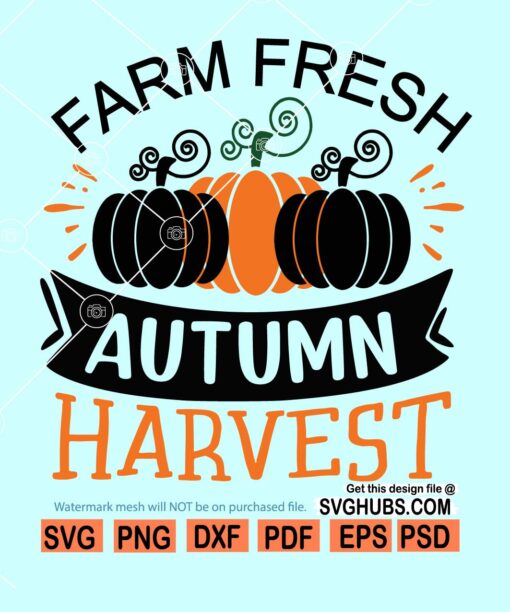 Farm fresh autumn harvest SVG