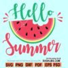 Hello Summer watermelon svg, hello Summer svg, summer shirt svg, Summer Door Sign svg