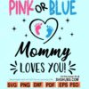 Pink or blue daddy loves you SVG
