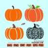 Pumpkin SVG Bundle, pumpkin bundle svg, leopard print pumpkin svg, Plaid Pumpkin SVG, Pumpkin Outline PNG, Fall pumpkin svg, Autumn pumpkin svg