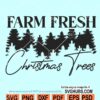 Farm fresh Christmas trees SVG