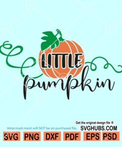 Little pumpkin SVG