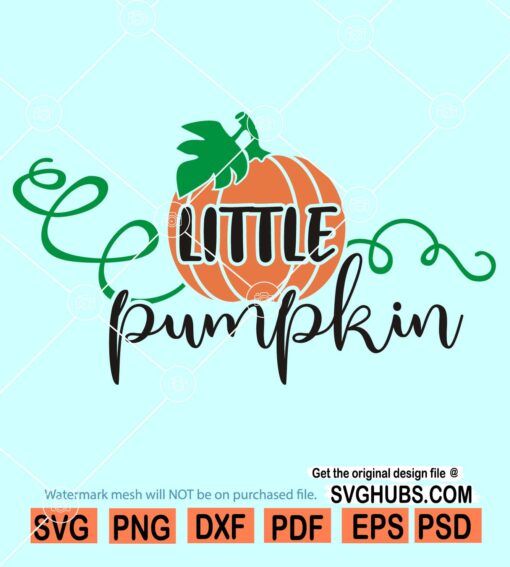 Little pumpkin SVG