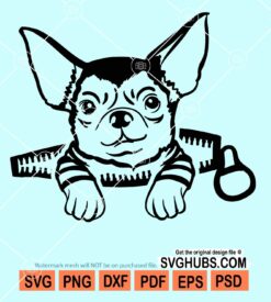 Chihuahua dog svg
