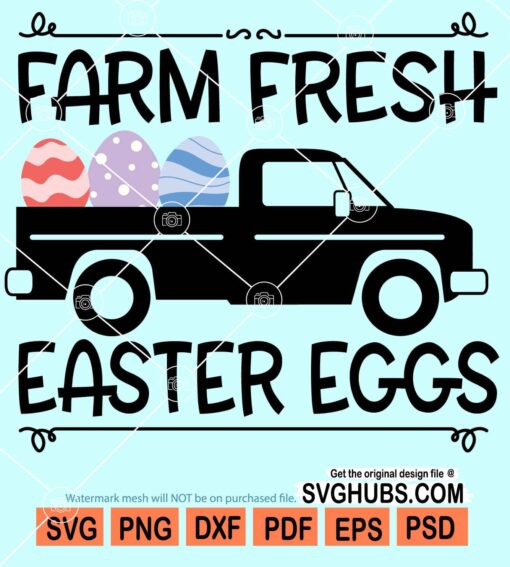 Farm fresh eggs svg
