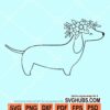 Floral dachshund svg