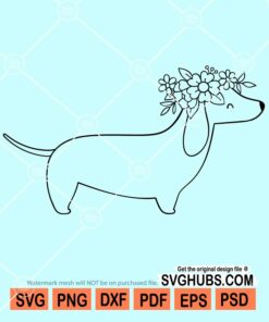Floral dachshund svg