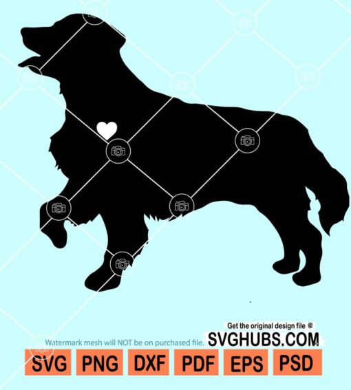 Golden retriever svg