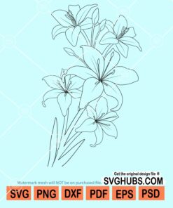 Lily flower svg