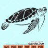 Sea turtle svg