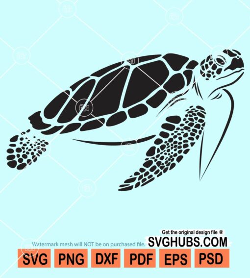 Sea turtle svg