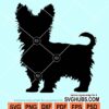 Yorkshire terrier svg