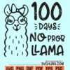 100 days no prob llama svg
