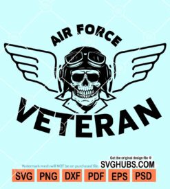 Air force veteran svg