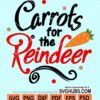 Carrots for the reindeer svg