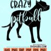 Crazy pitbull svg