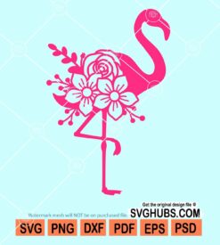 Flamingo svg