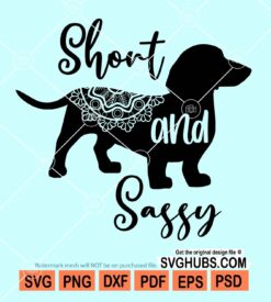 Short and sassy svg