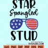 Star spangled stud svg