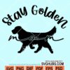 Stay golden svg