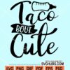 Taco bout cute svg