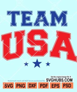 Team USA svg