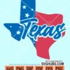 Texas state svg