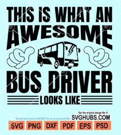 This is what an awesome driver looks like svg