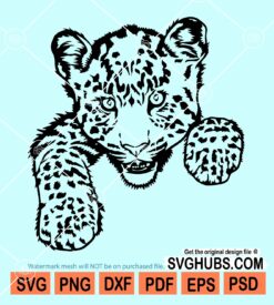Baby leopard svg