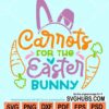Carrots for the easter bunny svg
