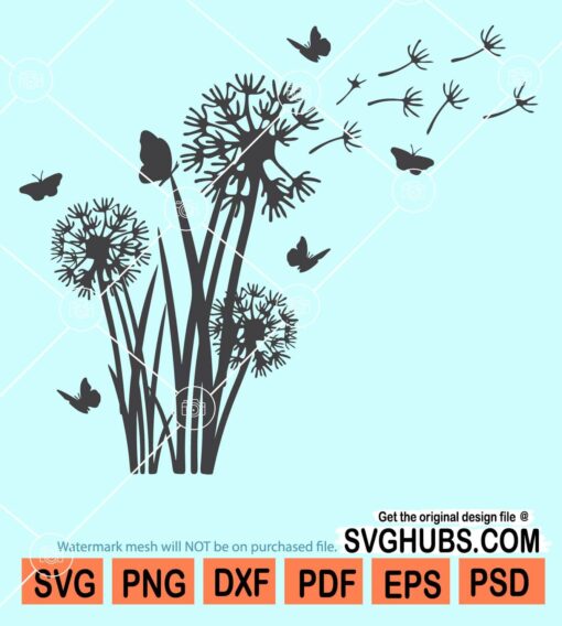 Dandelion flower svg