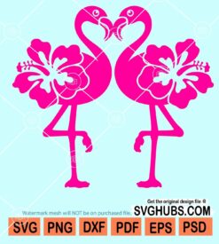 Flamingo couple svg