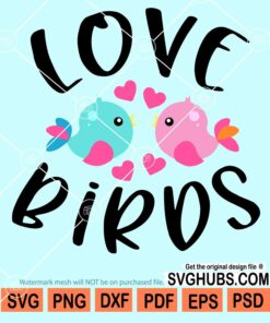 Love birds svg