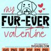 My fur-ever valentine svg