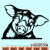 Peeking pig svg