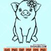 Pig svg