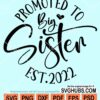 Promoted to big sister Est. 2022 svg