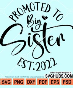 Promoted to big sister Est. 2022 svg