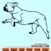 Bulldog svg