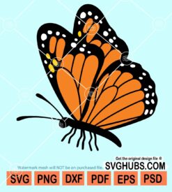 Butterfly clipart svg