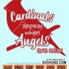Cardinals appear when the angels are near svg