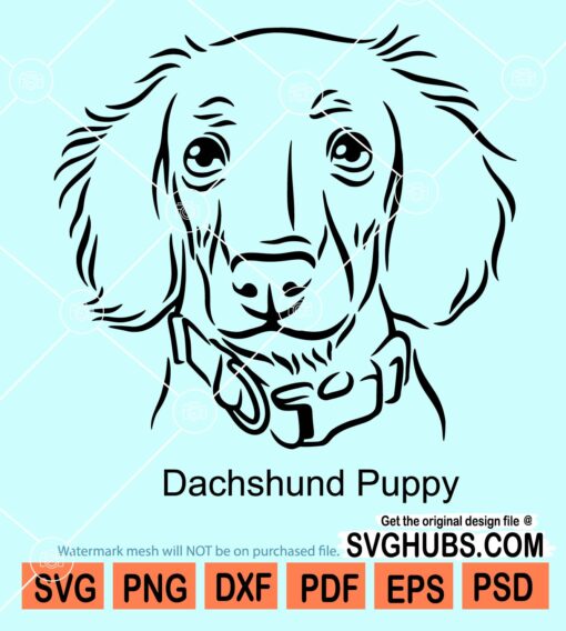 Dachshund puppy svg