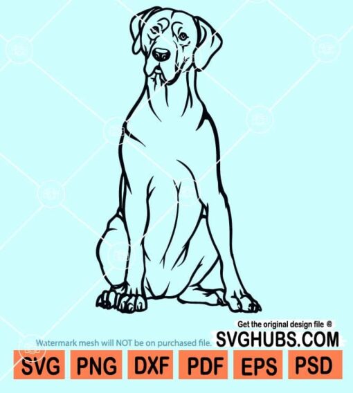 Great dane dog sitting svg