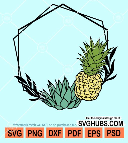 Hexagonal pineapple frame svg