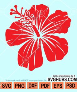 Hibiscus flower svg