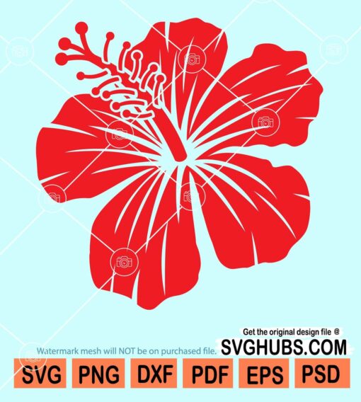 Hibiscus flower svg