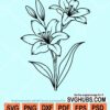 Lily flower svg