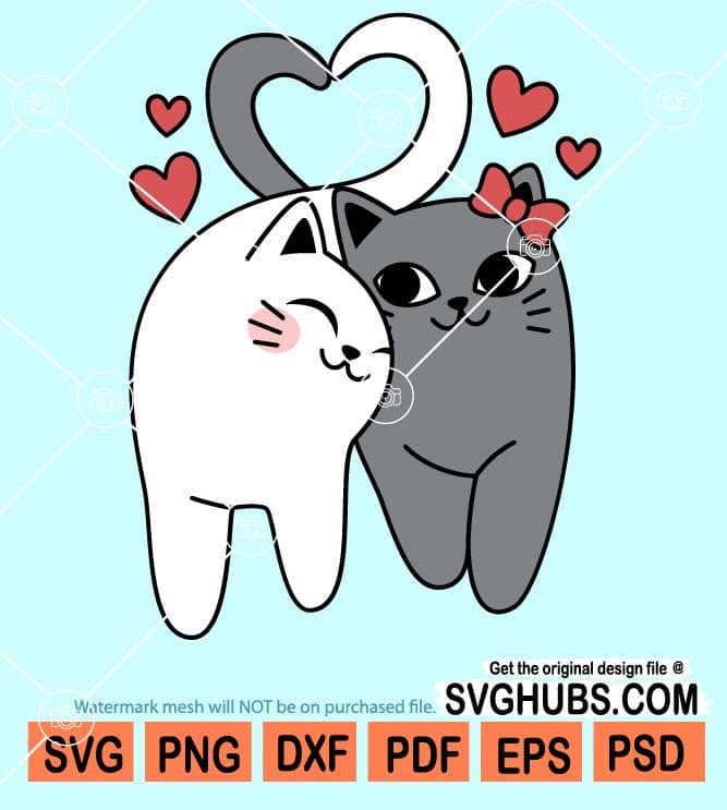 Kittens love, cat couple, cat spouse, lovely cats, pets icon - Download on  Iconfinder