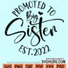 Promoted to big sister svg